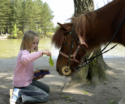 Pony Ride