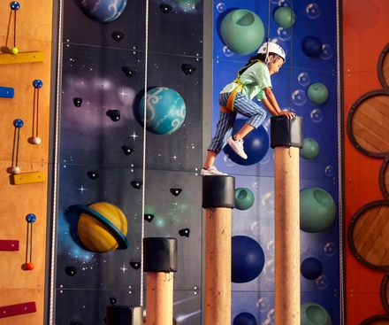 Wall Climbing 