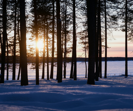 Kilpisjärvi